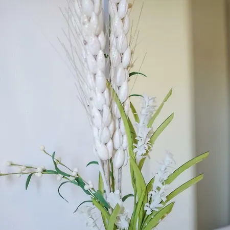 Gæstehus Dimore Sonore Gallipoli