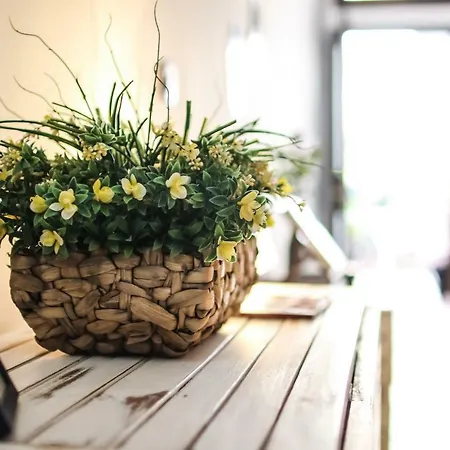 Dimore Sonore 3* Gallipoli